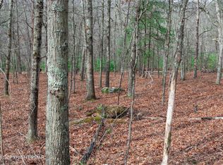0 Station Hill Rd, Henryville, PA 18332