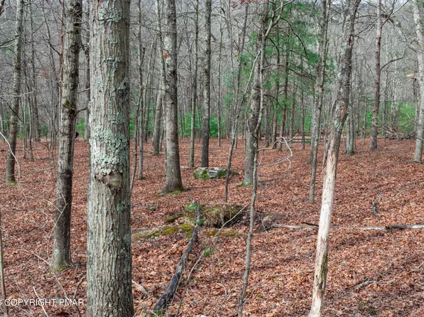 0 Station Hill Rd, Henryville, PA 18332