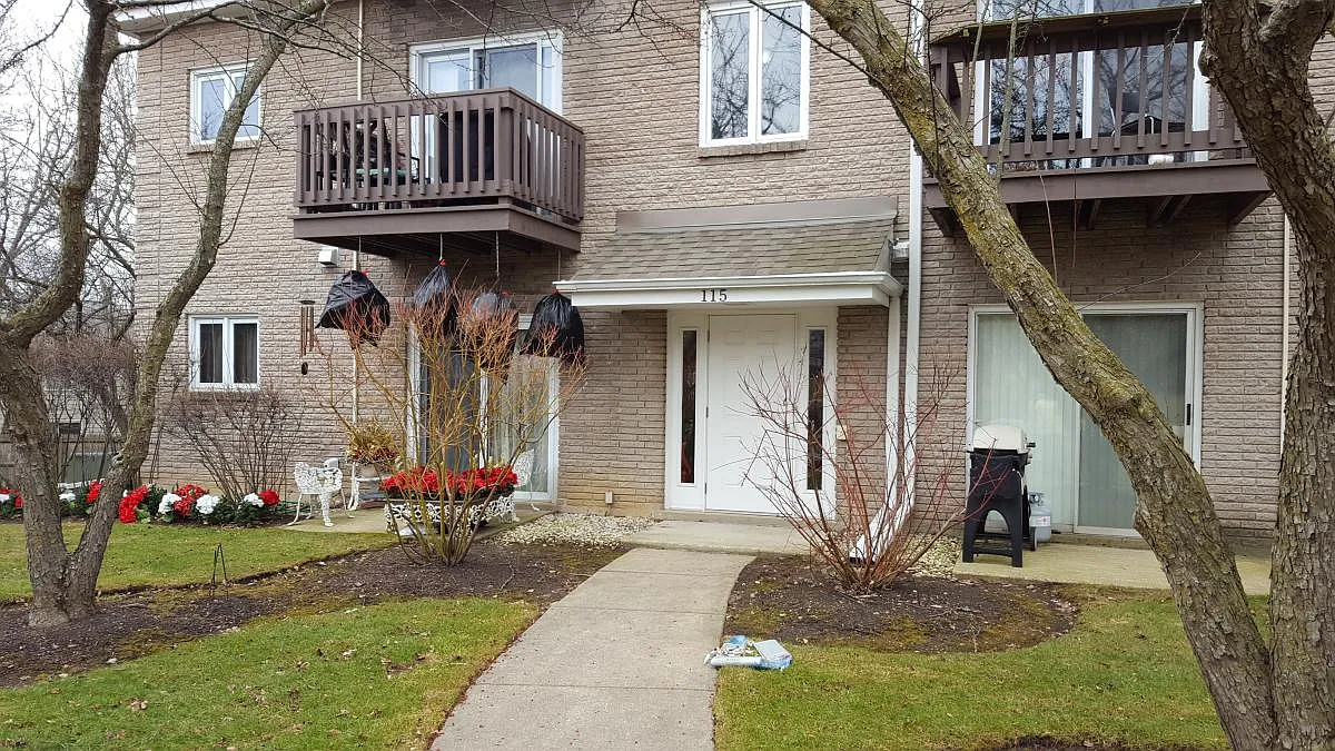 2 bed, 936 sqft, $1,950 — Photo 1