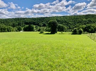 0 King Rd, Greene, NY 13778