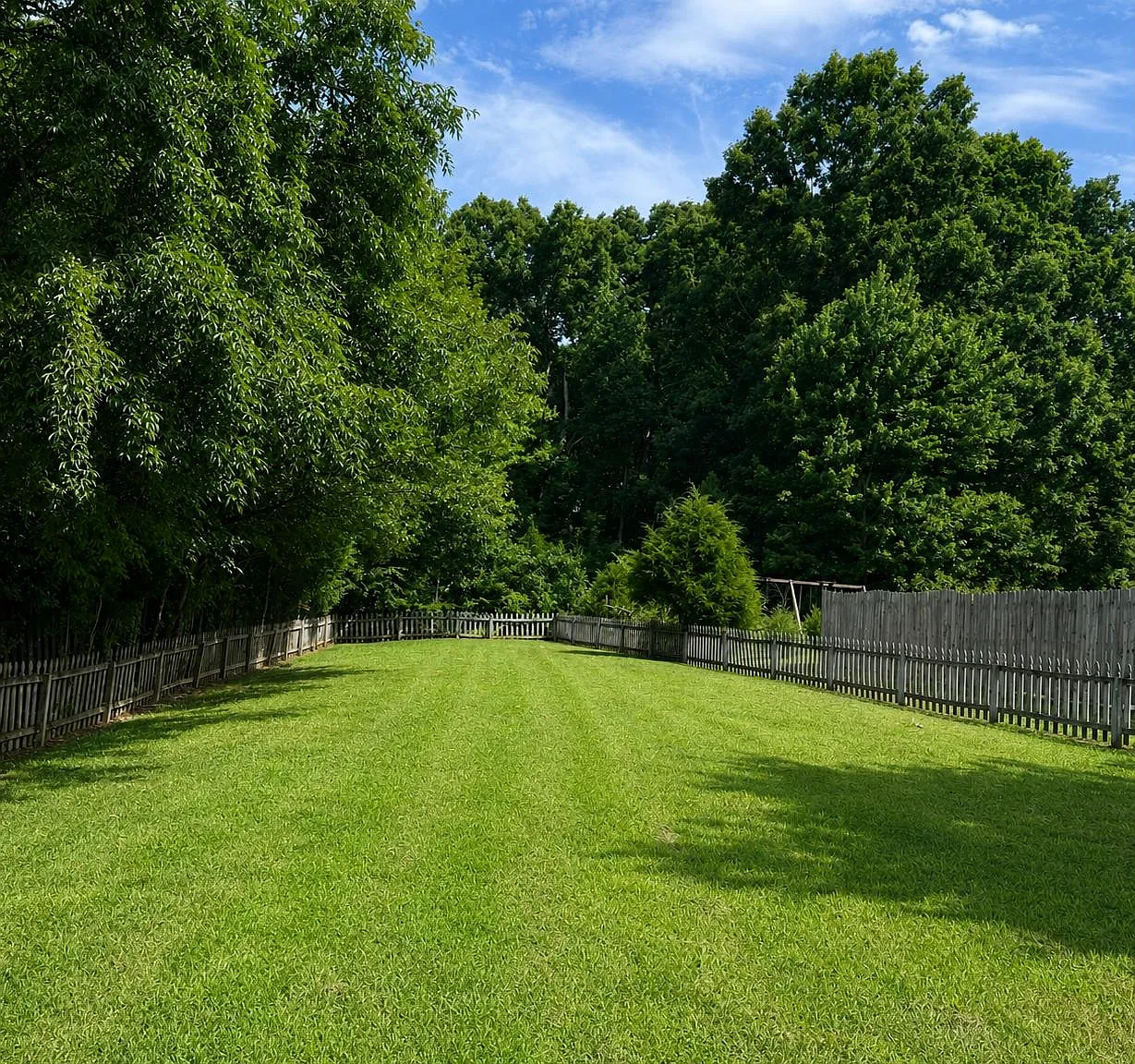 3 bed, 1275 sqft, $1,925 — Photo 2