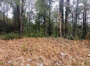 LOT 42 Sandy Landing Rd, Andalusia, AL 36421