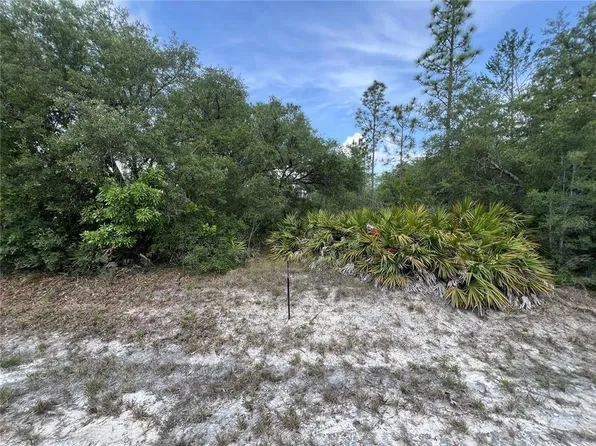 18167 Parakeet Rd Lot 10, Brooksville, FL 34614