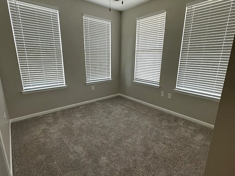 445 Olive Branch Way — Photo 3