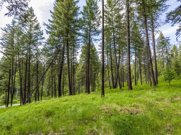 604 Ranch Rd, Bigfork, MT 59911