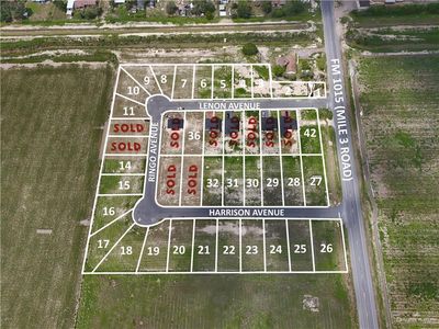 316 Ringo Ave, Edcouch, TX, 78538