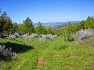 11.43 Acres Land At Mountain Goat Dr, Alturas, CA 96101