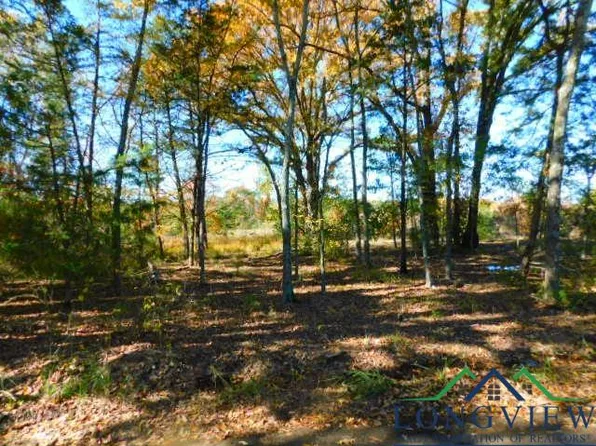 County Road 2417 Cres #2416, Leesburg, TX 75451