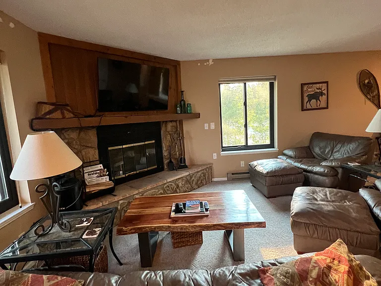 4827 Ryan Gulch Rd #4827 — Photo 11