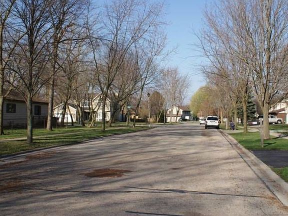 Tree lined street