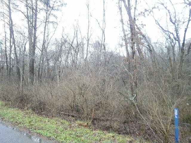 2nd image of Springwater Cir