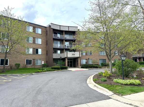909 E Kenilworth Ave Unit 420, Palatine, IL 60074