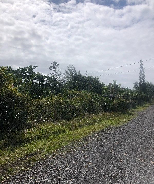 2nd image of 4th Avenue Awapuhi Lot 2483