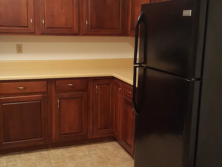 541 Circle Pine Dr — Photo 10