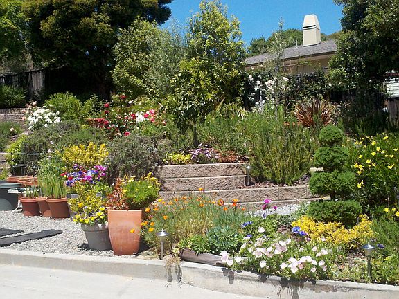 Mediterranean Gardens