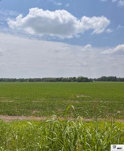 0 Levee Rd, Jonesville, LA, 71343