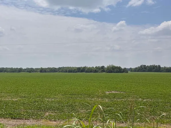 0 Levee Rd, Jonesville, LA 71343
