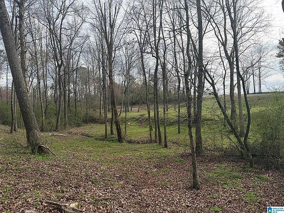 5th image of 11000 County Road 27 #1