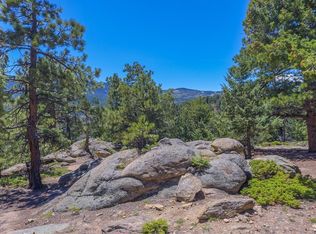 32543 Lodgepole Cir, Evergreen, CO 80439