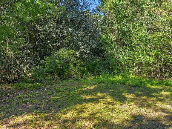 5th image of 9518 Elgin Rd
