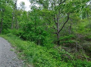 65 Dock Branch Rd, Barnardsville, NC 28709