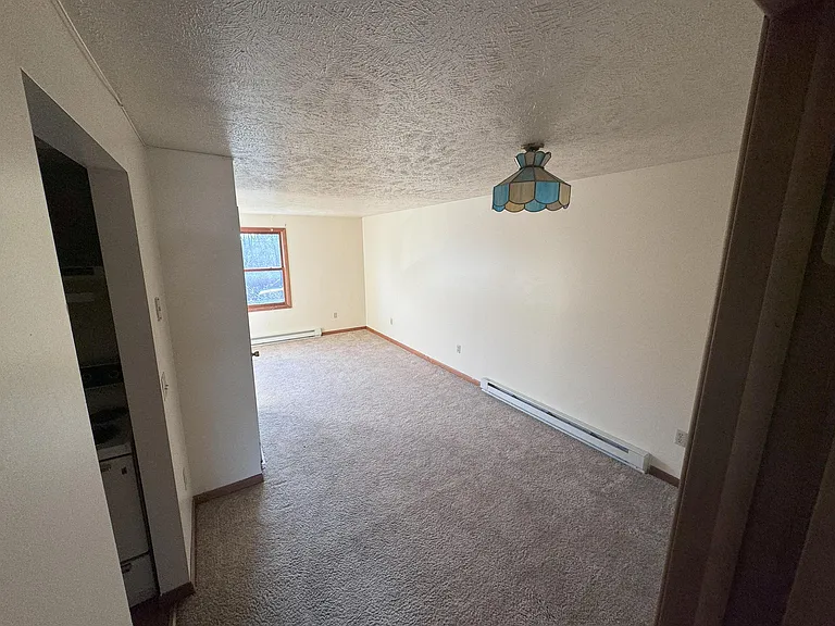 5724 Big Tree Rd — Photo 11