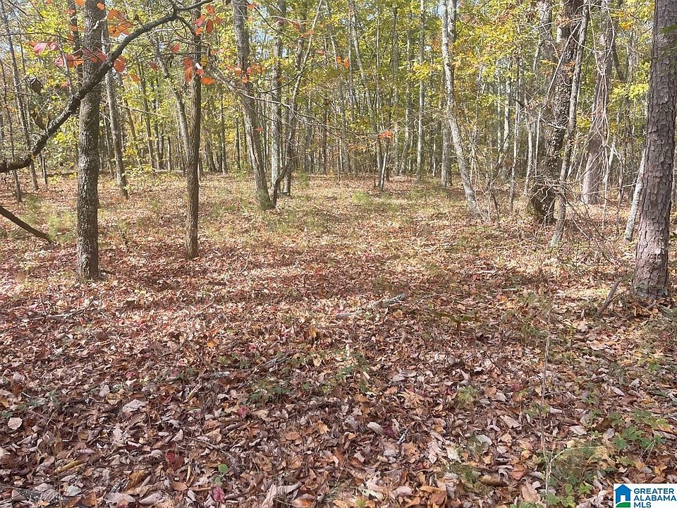 1st image of County Road 30 #1