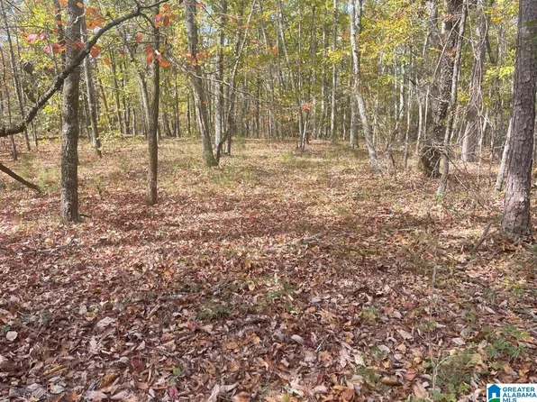 County Road 30 #1, Columbiana, AL 35051