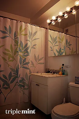 Rented by Triplemint | media 12