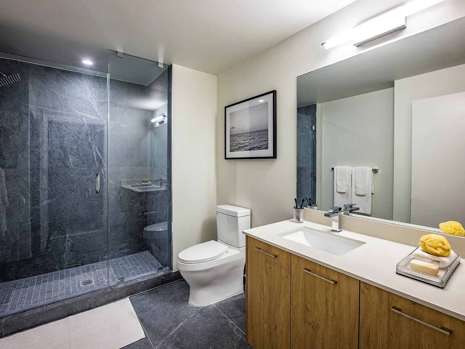 1 bed, 646 sqft, $2,069 — Photo 2