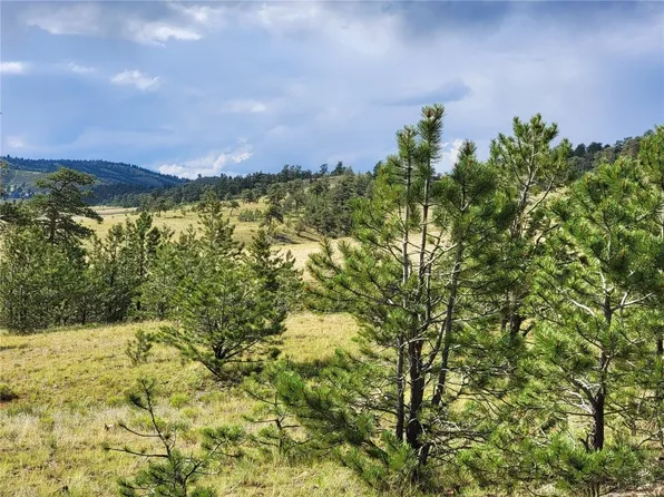 1117 Larimer Drive, Hartsel, CO 80449