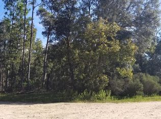 Tbd Ne 83 Ln & 122 Ct, Bronson, FL 32621