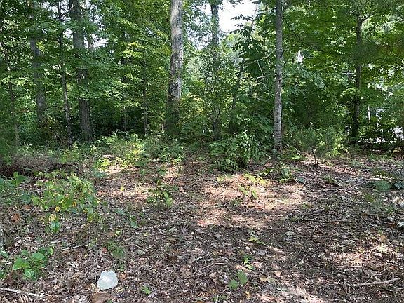 2nd image of 0 County Road 200