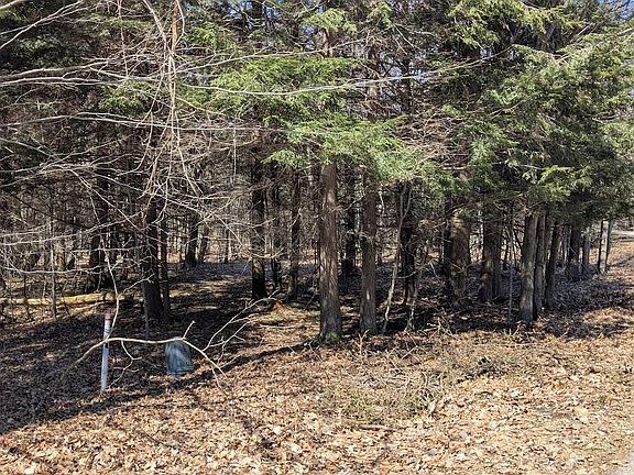 3rd image of Opal Ridge Dr #68