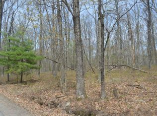 Blue Eddy Rd, Lackawaxen, PA 18435