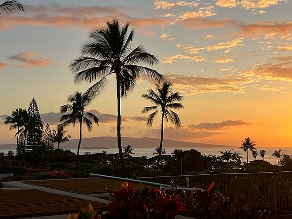Sunset in the backyard