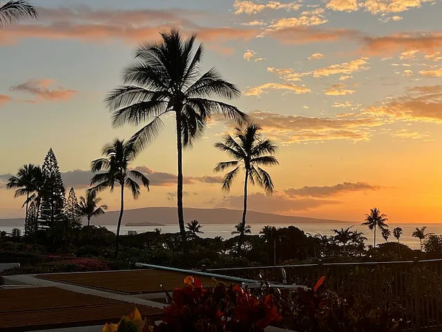Sunset in the backyard