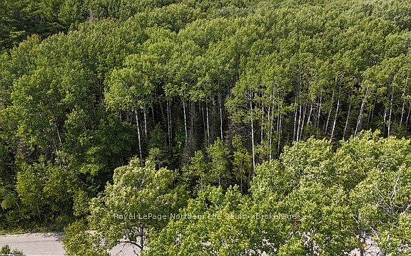 3rd image of LOT 12 Fox Run