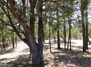 3436 Ponderosa Loop, Heber, AZ 85928