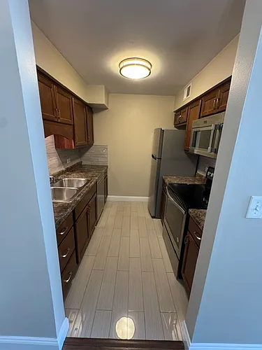 6163 Knoll Wood Rd #203 Photo 1