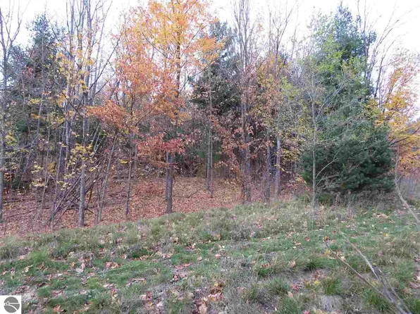 71 Rawling Pl #71, Kingsley, MI 49649