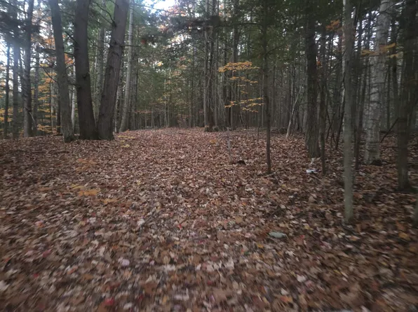 Map 09 Lot 30 Gould Pond Road, Hillsborough, NH 03244