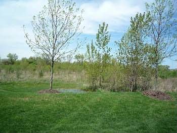 5th image of 448 Jamestown Ct