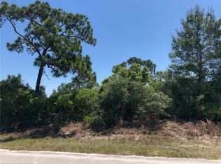 1027 Rebel Ave, Lake Placid, FL 33852
