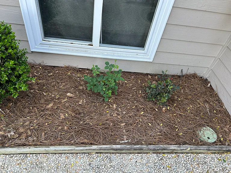 6328 Wrightsville Ave #D4 — Photo 25