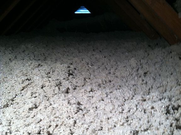 new Cellulose atic insulation with Borate from Terminix 1/27/2012