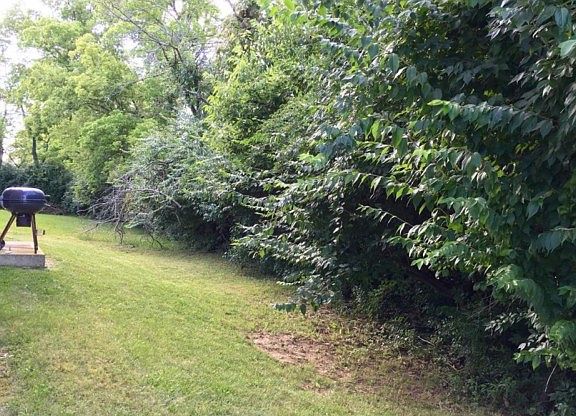 4th image of 11516 Planewood Cir