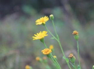 16 Oak Village Blvd S, Homosassa, FL 34446