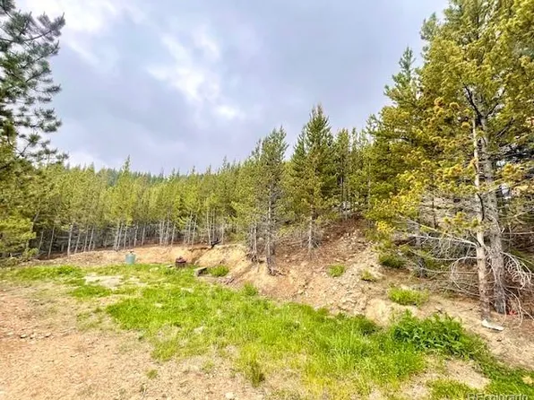 000 Alice Road, Idaho Springs, CO 80452