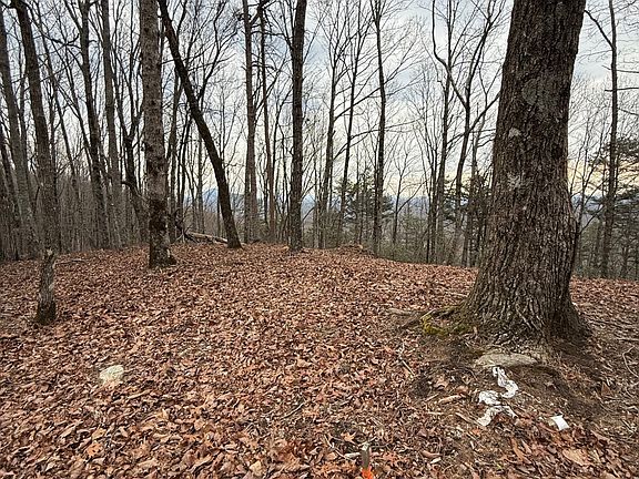 4th image of 7 Westmoreland Rd